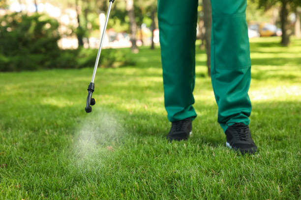 Best Affordable Pest Control Services  in South Charleston, WV
